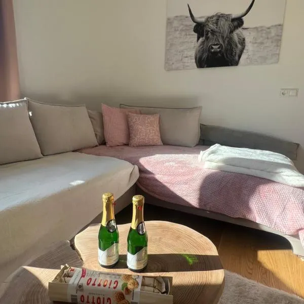 Silent City Apartments, hotel v destinaci Walddorf