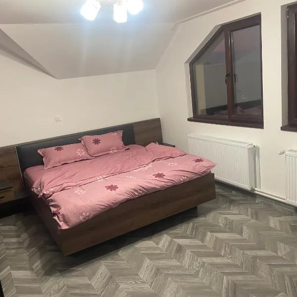 Casa Andrei !, hotell sihtkohas Caransebeş