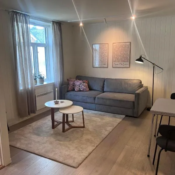 Koselig leilighet i Ålesund sentrum, hotel ad Ålesund