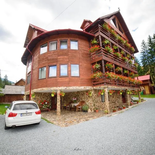 CASA BINU, hotel v destinaci Arieşeni