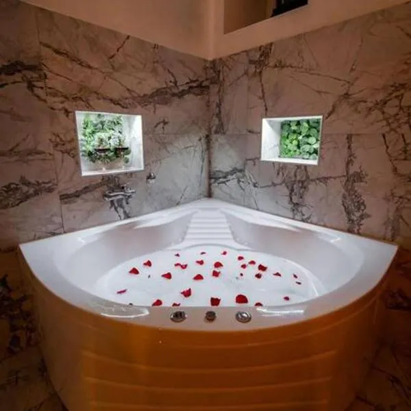 Lisa Zemun Spa Apartment, hotel v destinaci Zemun
