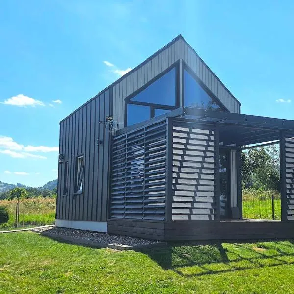 Green Fields Apartments - Apartamenty na Dzikiej Łące 2, hotel en Rychwałd