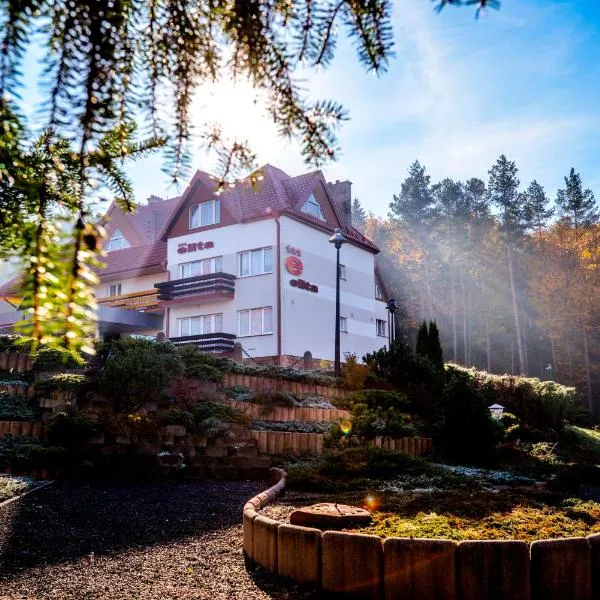 Elita Hotel & Restauracja, hotel in Posada Górna