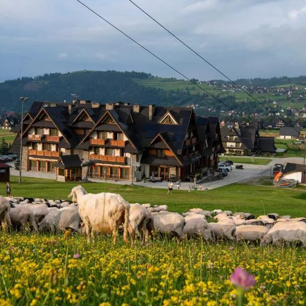 Hotel ZAWRAT - blisko natury – hotel w mieście Białka Tatrzanska