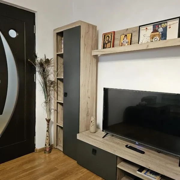 Mony Apartaments, hotel v destinaci Roman