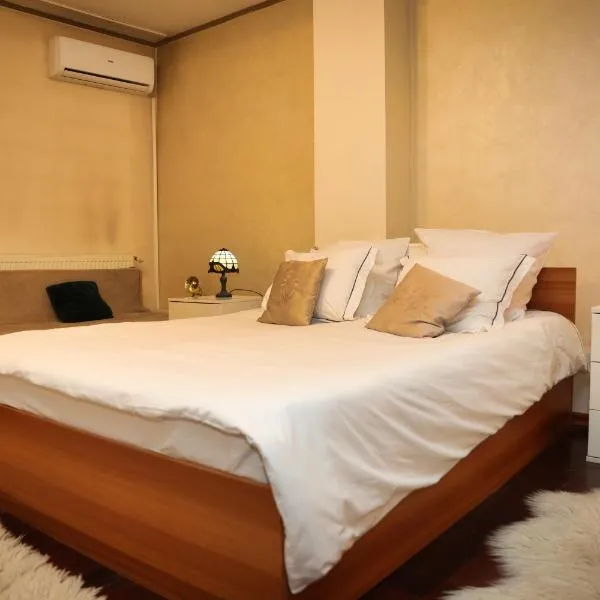 Pensiunea Giovani, hotel in Târgu Jiu