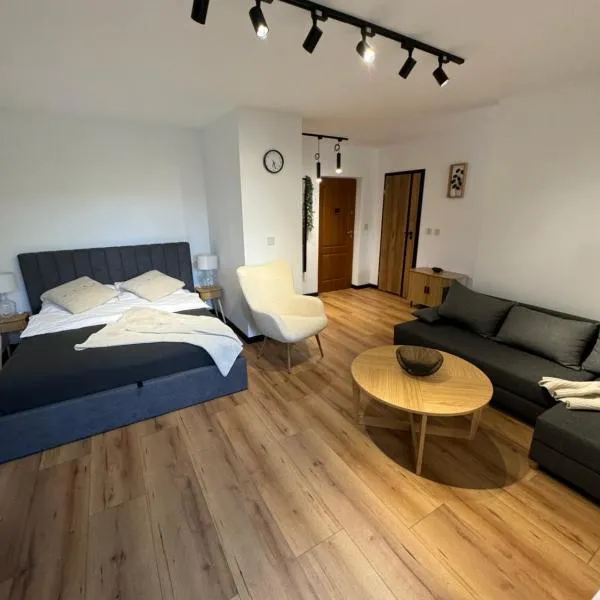 Apartment Ewy, hotel v destinácii Inowrocław