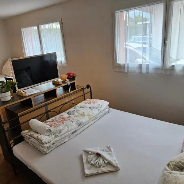 Private Etage 5 Min vom Bahnhof - Parken - Küche - Netflix, hotel v destinaci Widnau