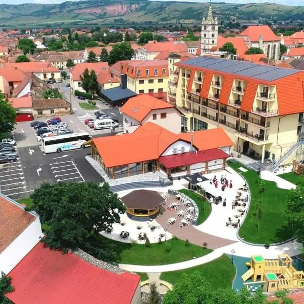 Hotel Leul de Aur, hotel v destinaci Sebeş