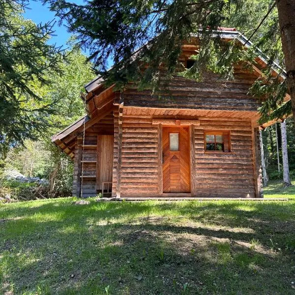 Hiška ob potočku, hotel v destinaci Ljubno