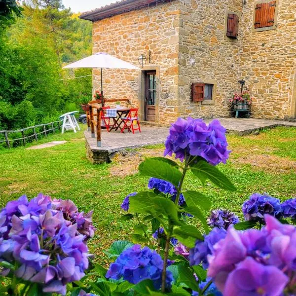 Rustico "il Casale del Mulino", отель в городе Salutio