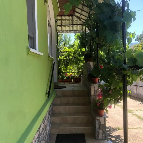 Casa Verde, hotel v destinaci Vaţa de Jos