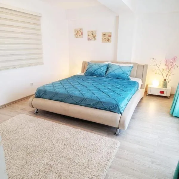 Airport Apartment 70 squared meters、オトペニのホテル