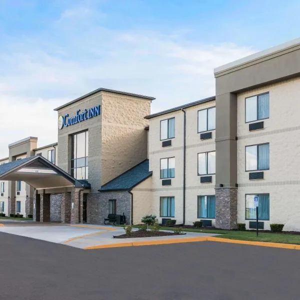 Comfort Inn Metro Airport, hotel in Romulus