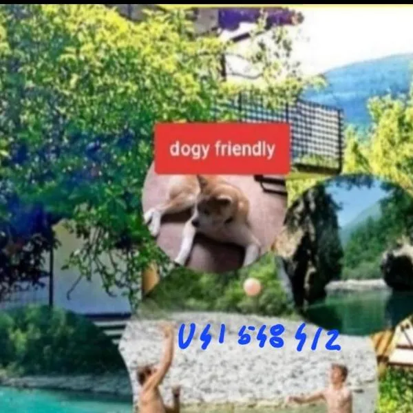 Apartma NADIŽA Borjana107, hotel in Borjana
