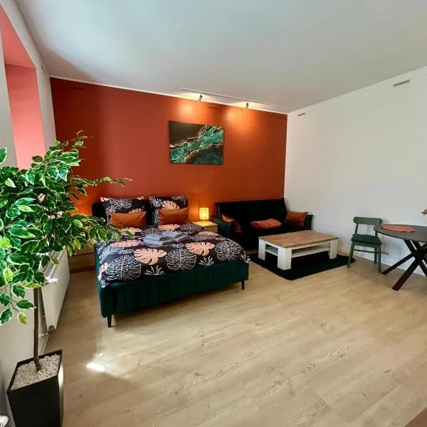 Viesnīca Apartment Targowa L1 Ļubļinā