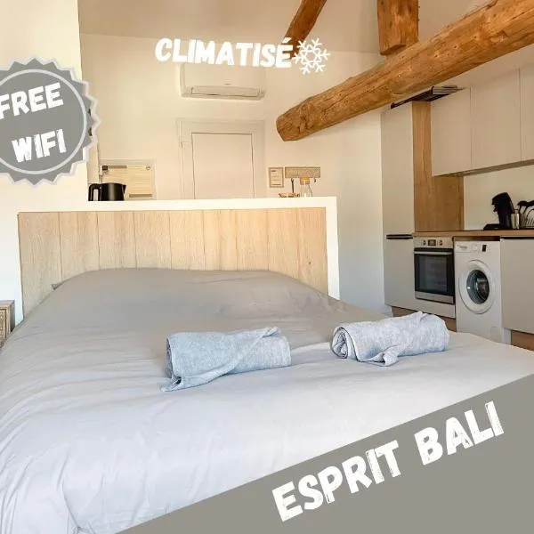 Esprit Bali, hotel v destinaci Montbrison