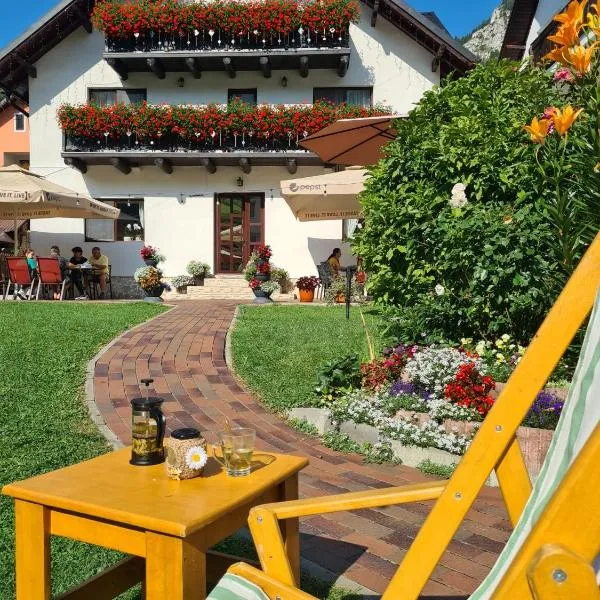 Casa Mia, отель в городе Мойечу-де-Сус