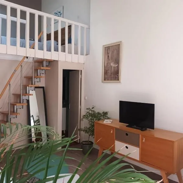 Jolie appartement centre Palavas les Flots，帕拉瓦萊弗洛特的飯店