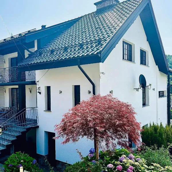 Willa Solina, hotel en Solina