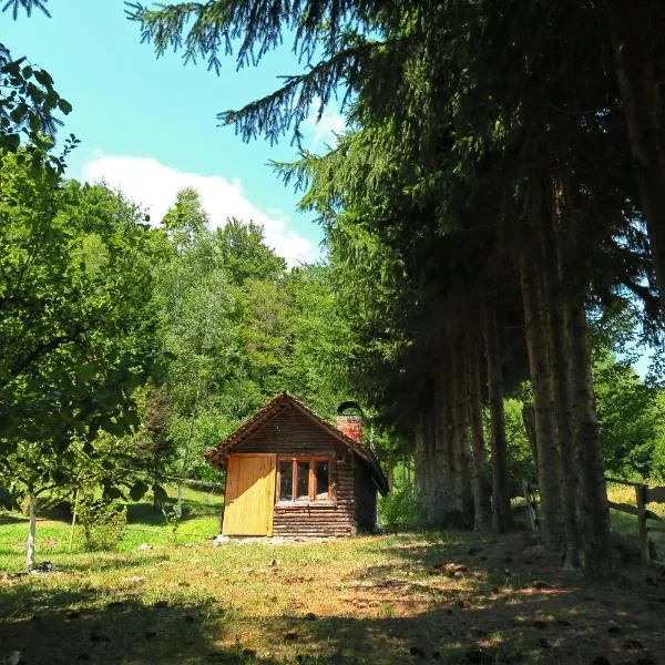Planinska kuća Palačinka, hotel v destinaci Despotovac