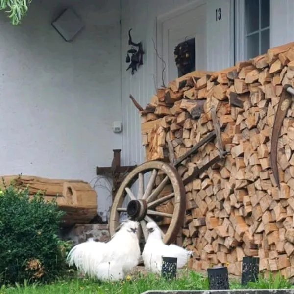 Cozy and quite apartment near Black Forest, hotel in Schömberg