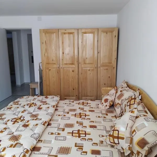 Apartament Rusu、ネホイウのホテル