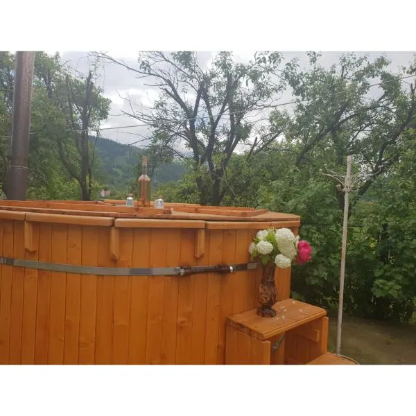 Cabana Zimbru mica, hotel in Băile Borşa