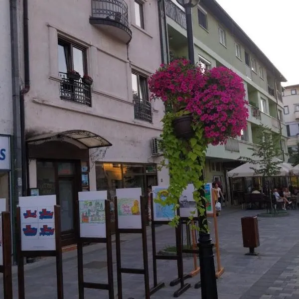 Hacijenda, hotel v destinaci Bajina Bašta