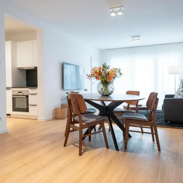 SCHÖNTALHAUS City Apartments mit Balkon, hotel in Aschaffenburg