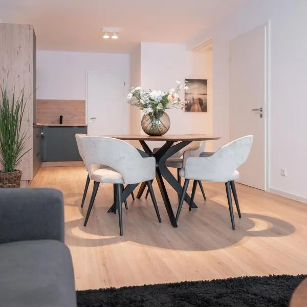 SCHÖNTALHAUS City Apartments, hotel in Aschaffenburg