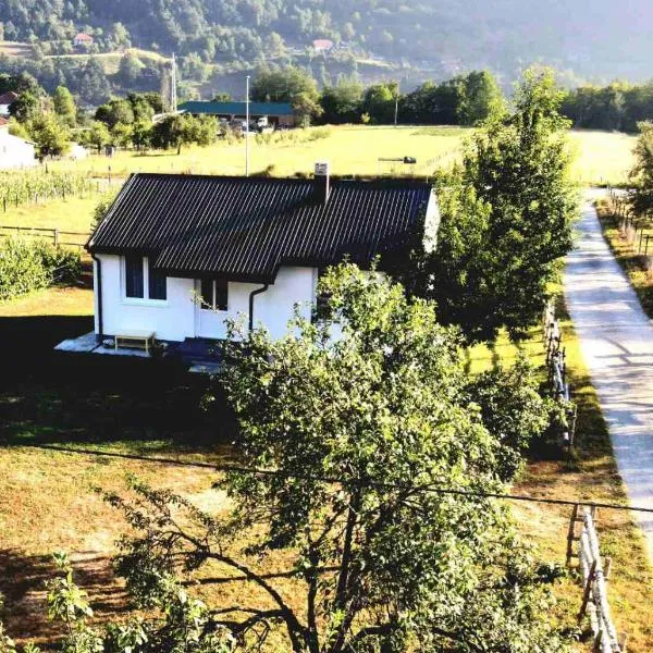 Kosta's White House, hotel v destinaci Plav