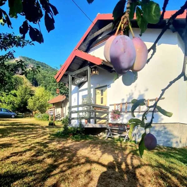 Kosta's romantic house, hotel in Plav