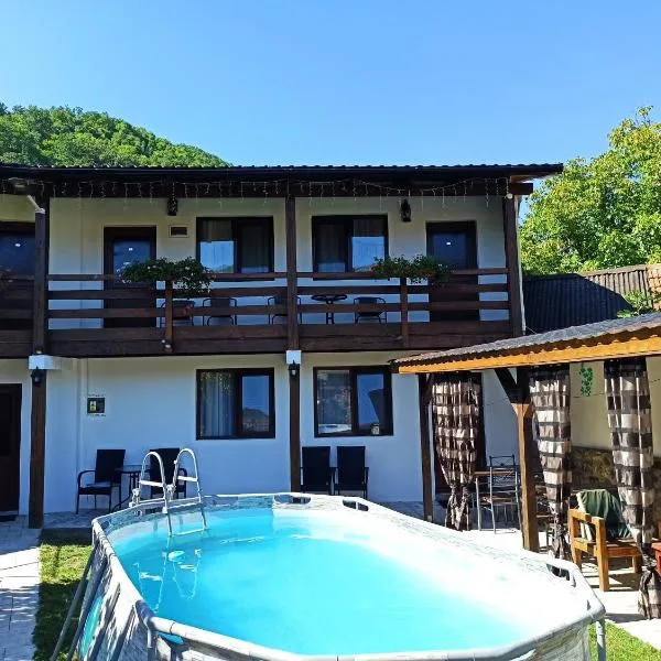 Casa Rodica, hotel v destinaci Dubová