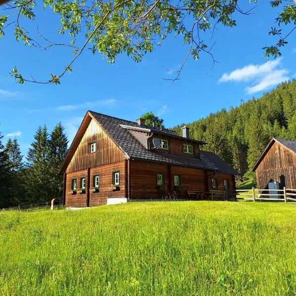 Ferienhaus Hinterhabneralm, hotel v destinaci Petersberg