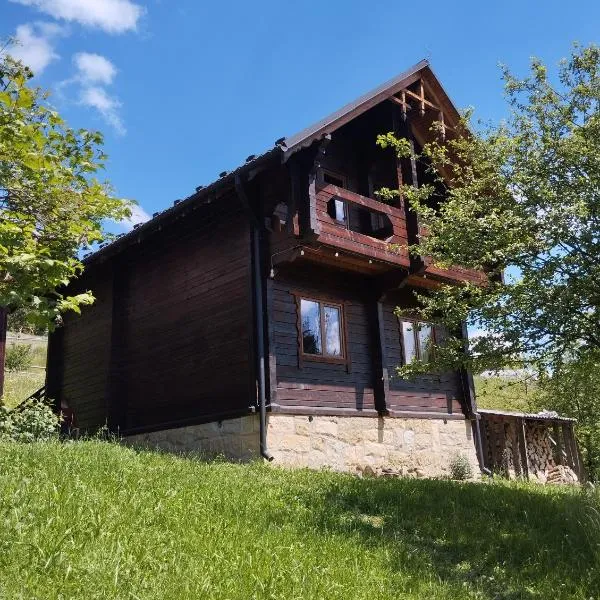 Котедж Славний гуцул & СПА чани джакузі, hotel in Yablunytsya