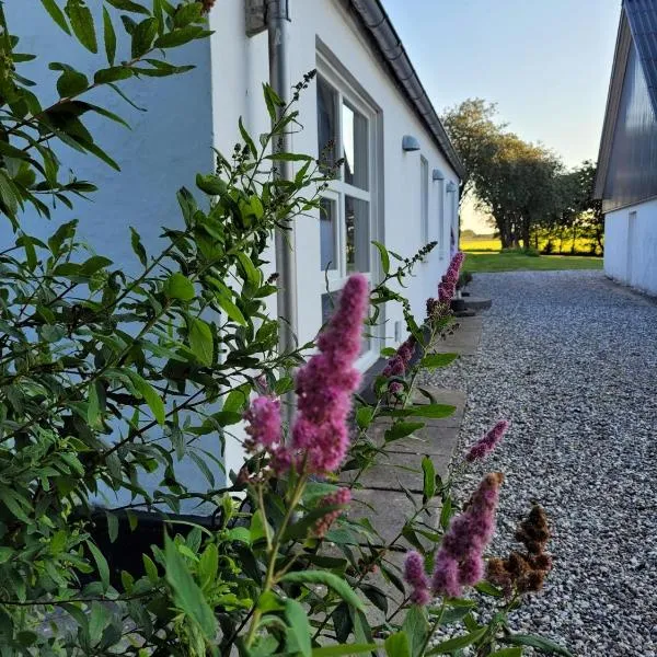 Vakantiewoning Denemarken, hotel v destinaci Års