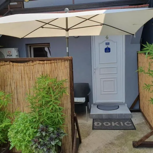 Apartman Djokic 2, hotel in Požarevac