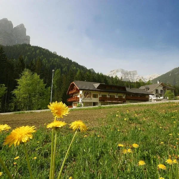 Steinerhof, hotel Braiesben