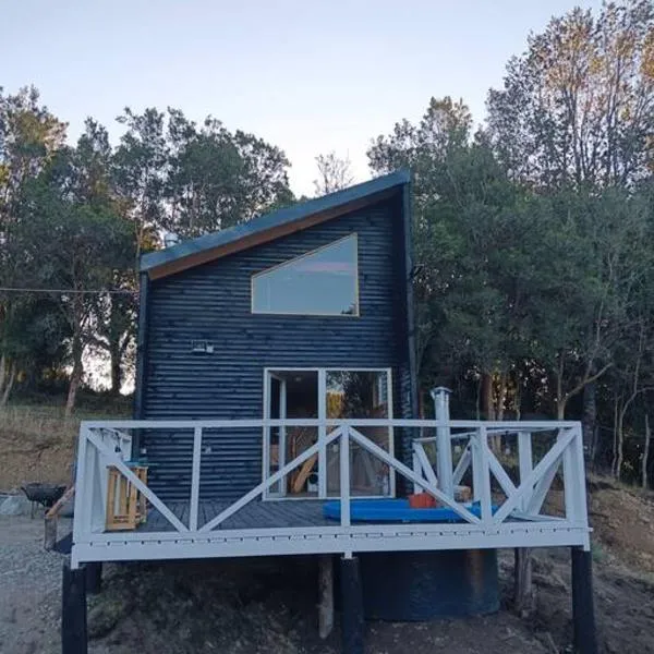 Cabaña Puelo 01, hotel v destinaci Puelo