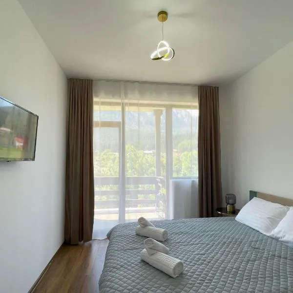 Alpine River Home with Peace and Mountain View、ブシュテニのホテル