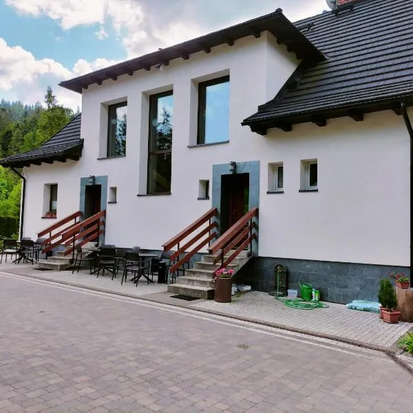 Willa Wisełka, hotel in Wisła