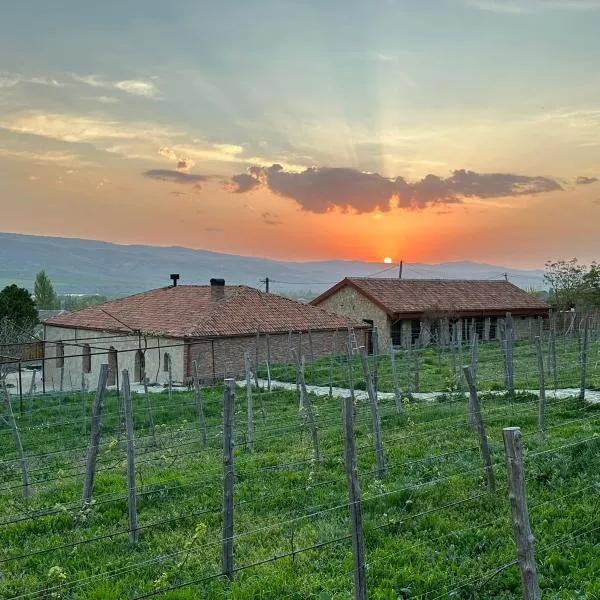 Vineyard Cottages, hotel in Khidistʼavi