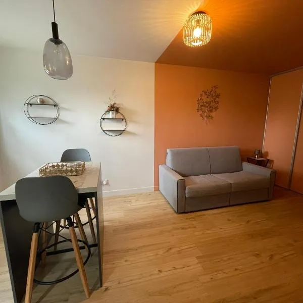 Studios Blésois - Parking & Linge inclus, hôtel à Blois