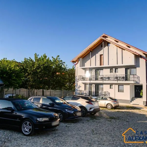 Casa Alexander, ξενοδοχείο σε Călimăneşti