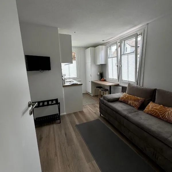 Rheinblick Ferienwohnung, hotel v destinaci Höchst