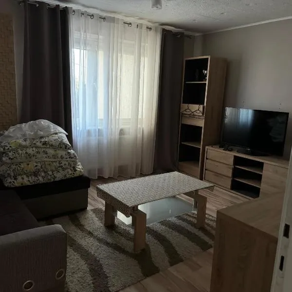 Apartament M6 w Centrum Wiela, hotel v destinaci Wiele