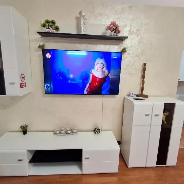 Apartament Alis2011, hotel v mestu Buzău