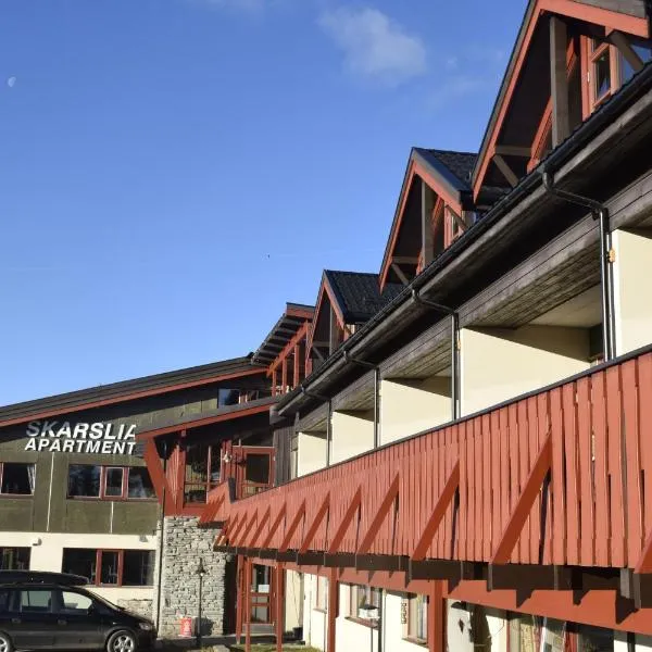 Skarslia Apartment, hotel en Bergsjostolen