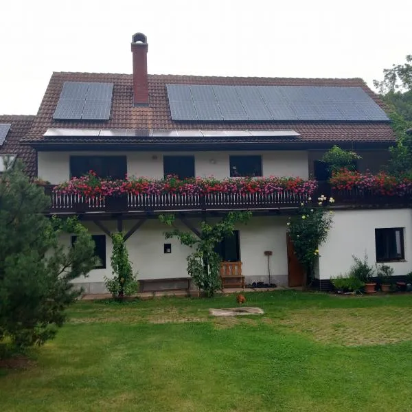 U tří jasanů, hotel v Luži